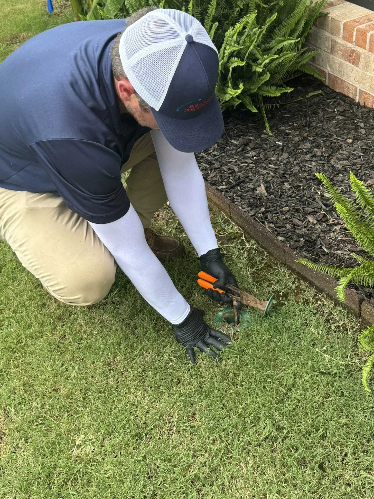 Pest Control in Sheffield Alabama