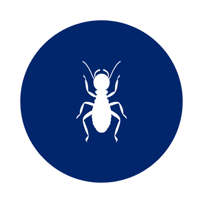 Termite-Control-Southern-Pride-Pest-Control-North-Alabama