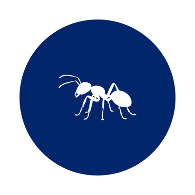 Ant-Control-Southern-Pride-Pest-Control-North-Alabama