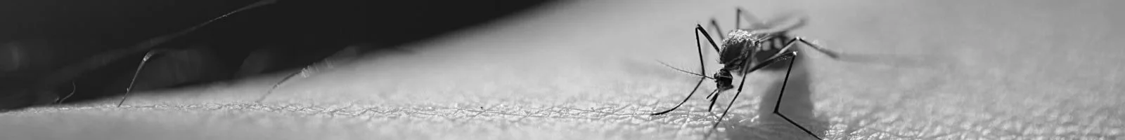 Mosquito-Control-Banner-Southern-Pride-Pest-Control-North-Alabama