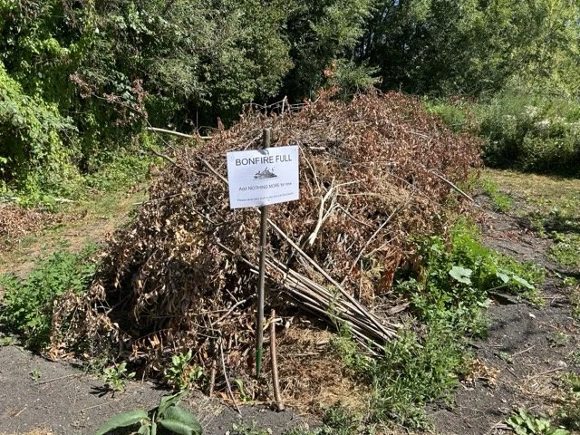 Bonfires and burning non-compostable organic items