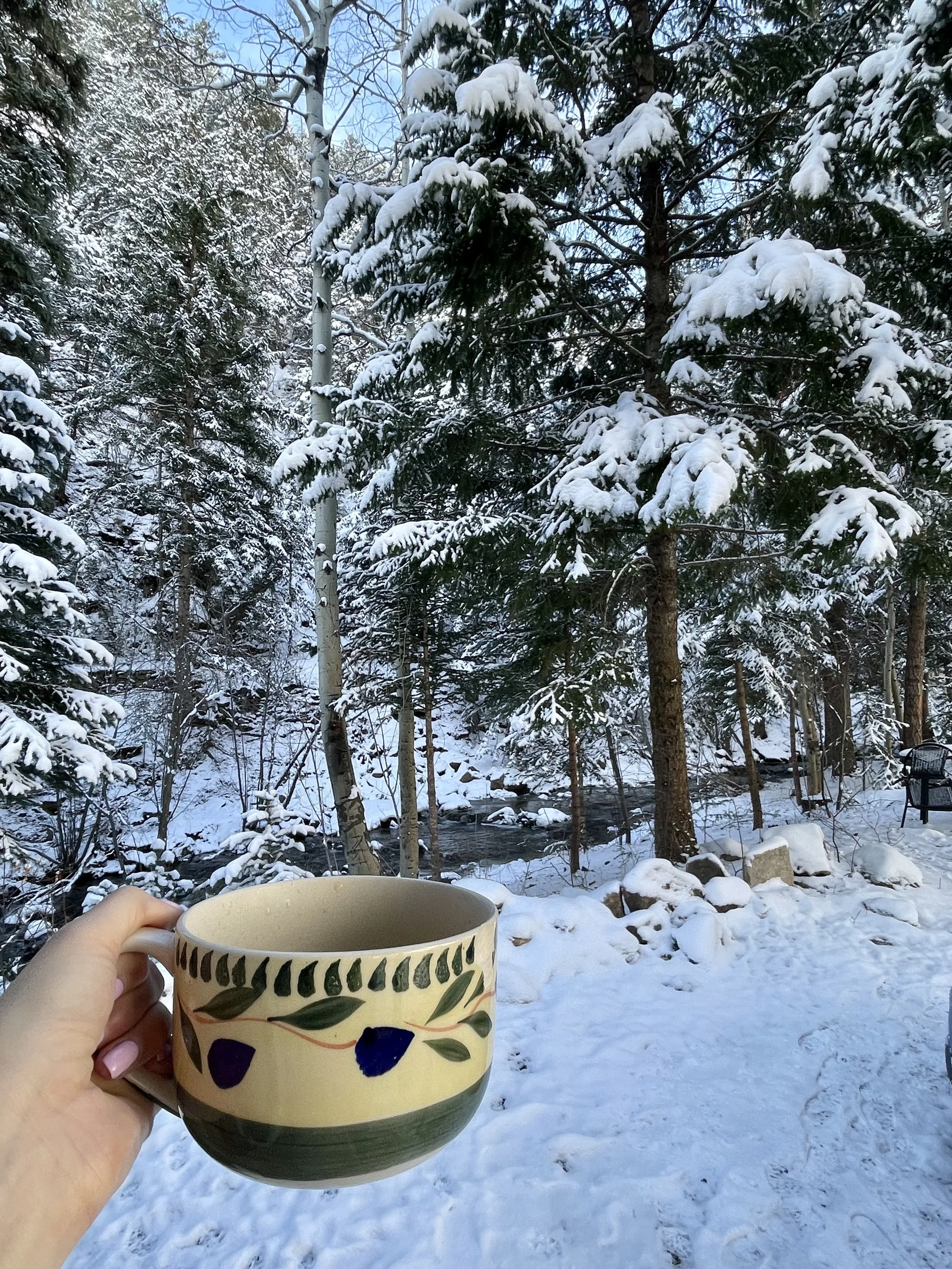 A hand holding a decorative ceramic mug filled with a hot beverage in a snowy outdoor setting with trees and a small stream in the background.