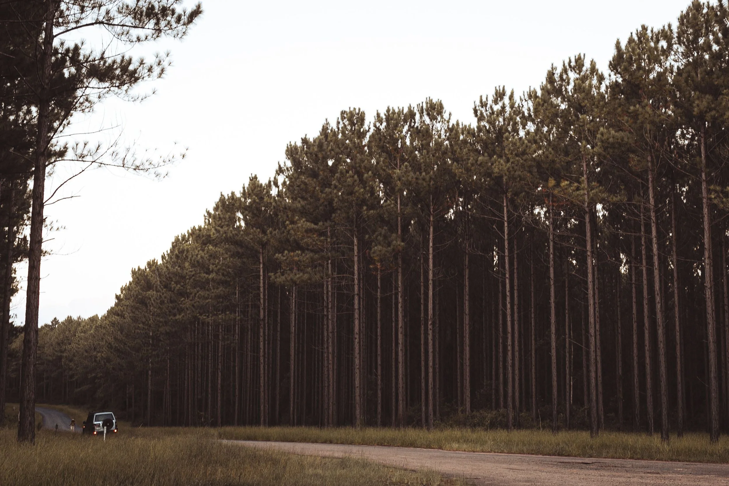 Why We Need the Outdoors More Than Ever