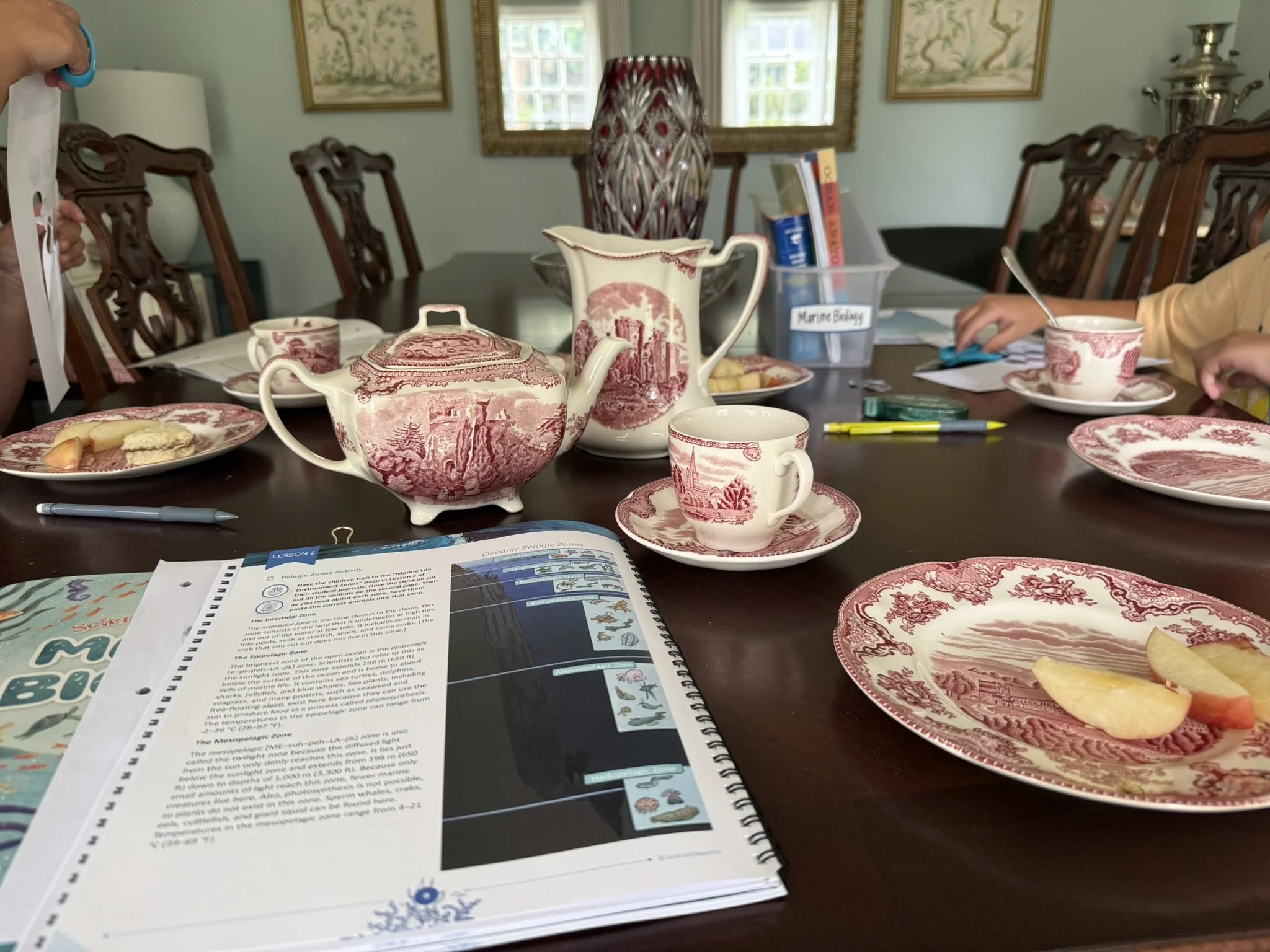 One Homeschool Lesson Can Teach Multiple Subjects (And That Changed Everything for Me)