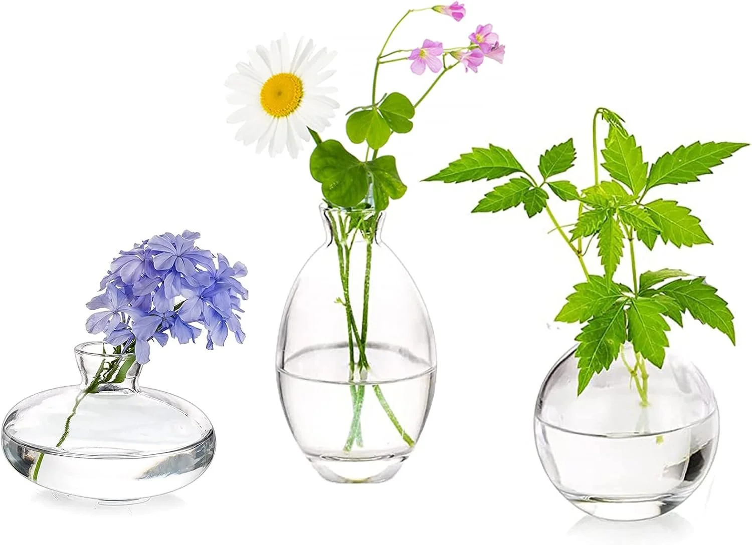 Vases for Any Occasion