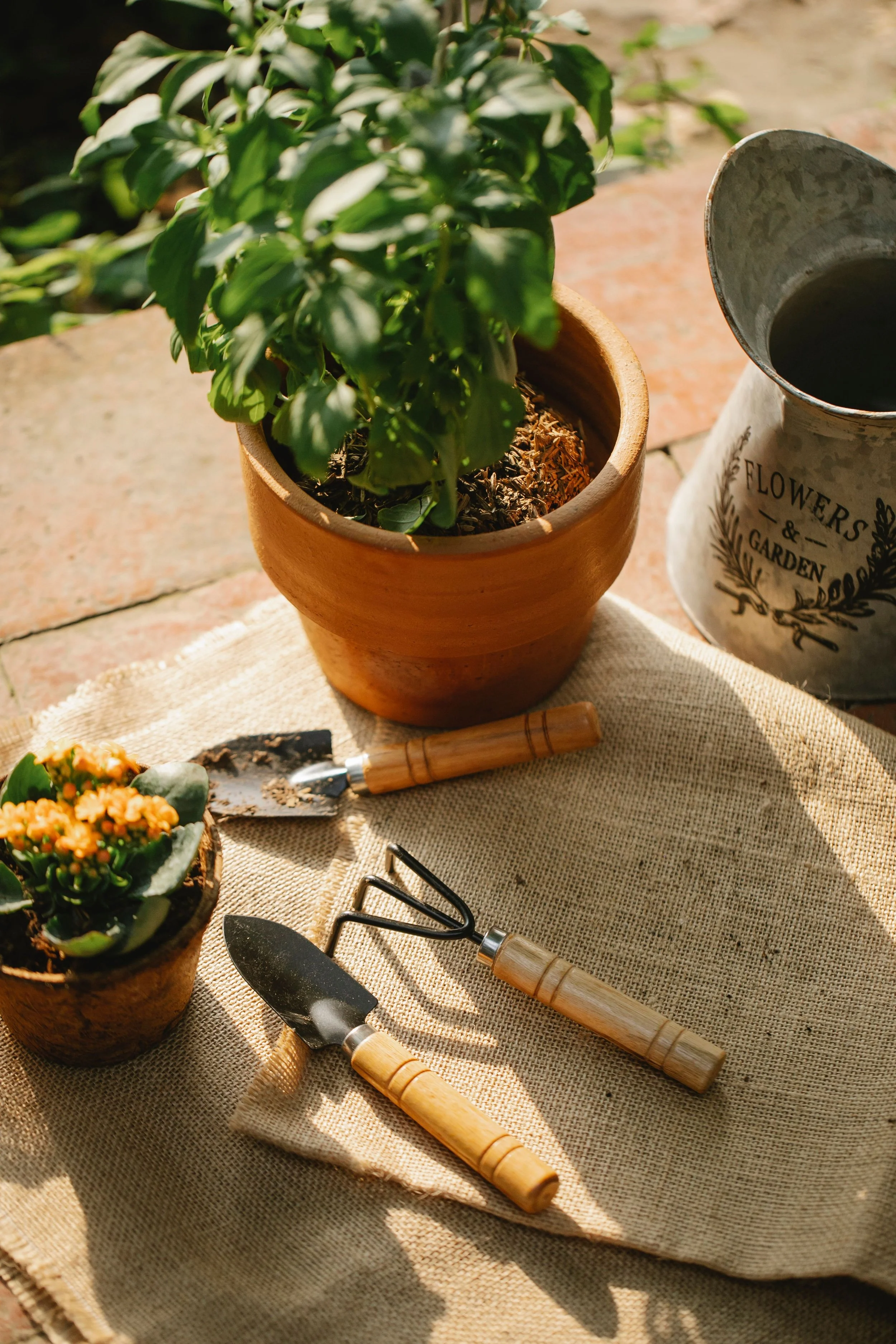 A potted plant with green leaves, gardening tools with wooden handles, a small decorative plant, and a metal watering can labeled 'Flowers & Garden' on a beige cloth on outdoor ground.