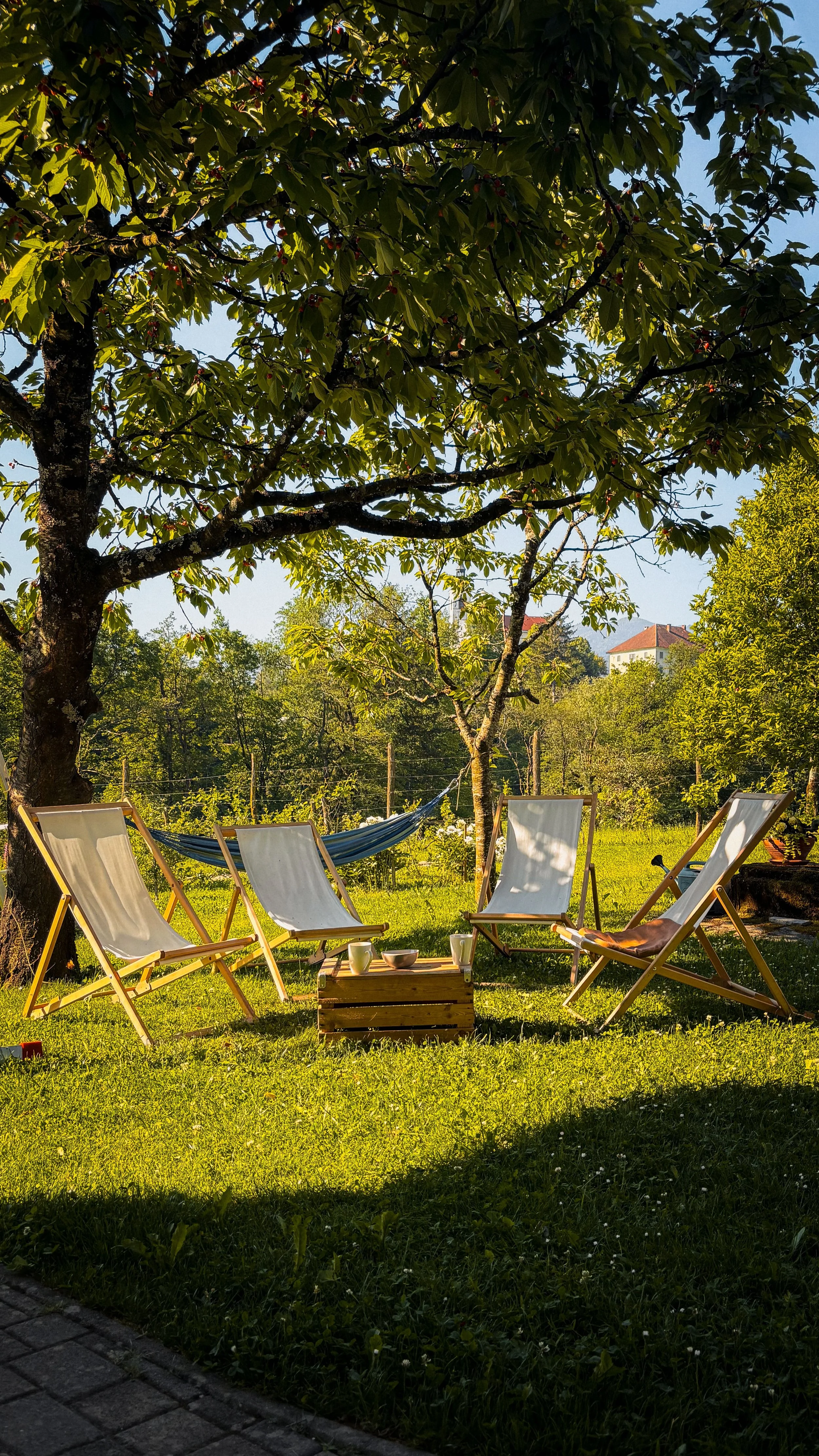 A backyard scene with five white lounge chairs arranged in a semicircle on lush green grass. There is a small wooden table with cups and bowls in the center. A hammock is strung between two trees, which have dense green leaves. In the background, there's a fence, trees, and a house on a hill under a clear blue sky.