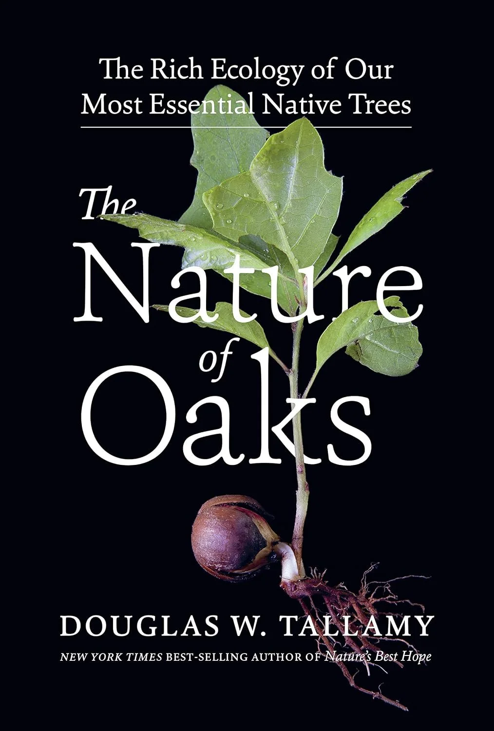Striking Coffee Table Book of Oak Trees