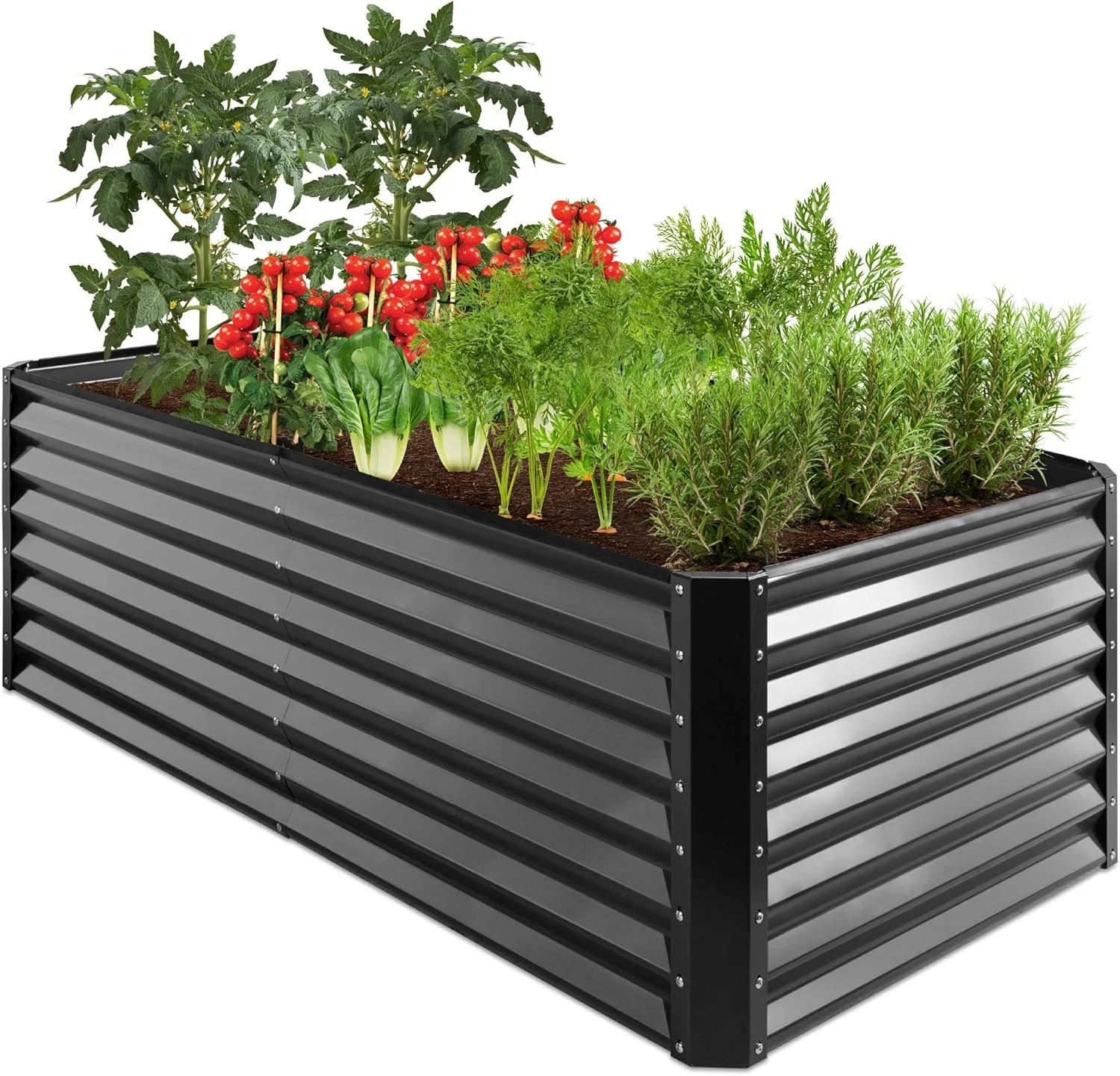 Our Favorite Garden Beds