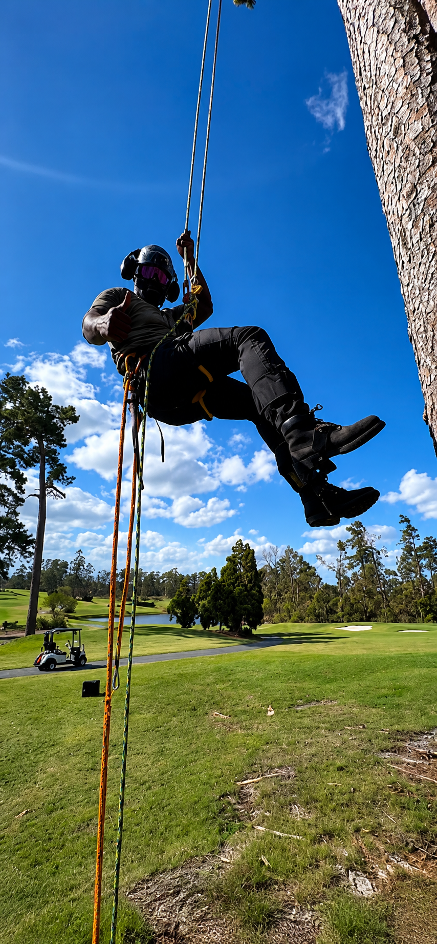 A person wearing a helmet and safety gear is rappelling down a tree at a golf course on a sunny day, with a golf cart and green landscape in the background.