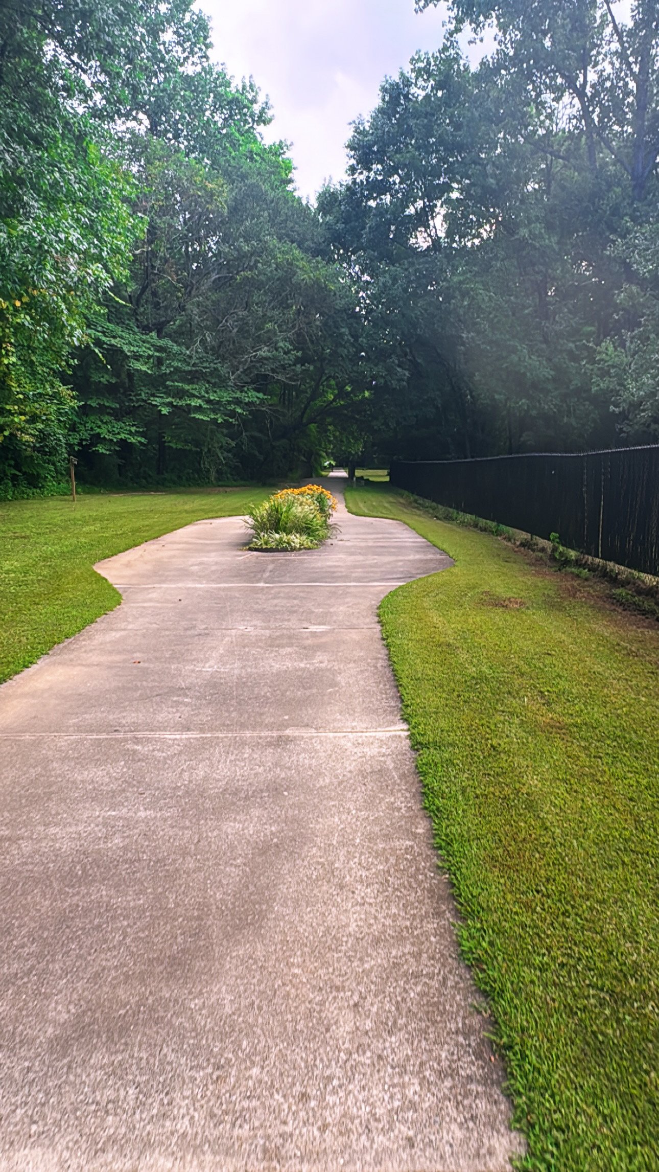 A sidewalk in a park or garden with a small flower bed in the center filled with green plants and yellow flowers. There is grass on both sides of the sidewalk, and trees with green leaves are visible in the background. A black fence runs along the right side of the path. The sky is mostly cloudy.
