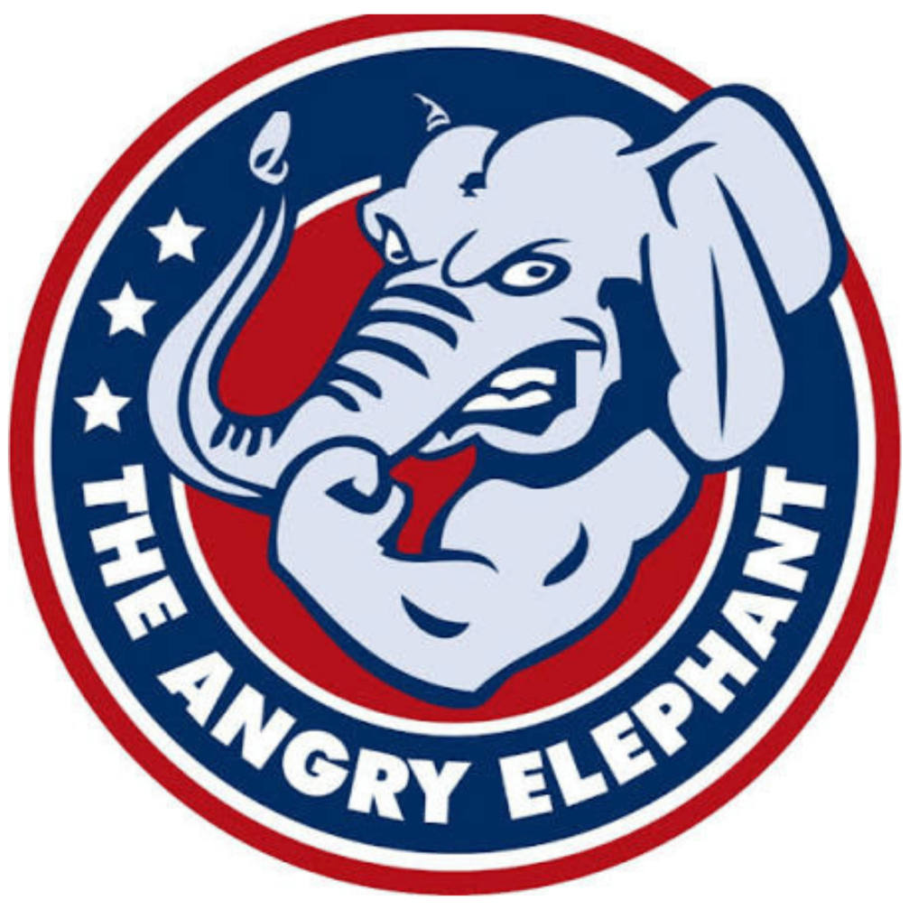 Angry Elephant