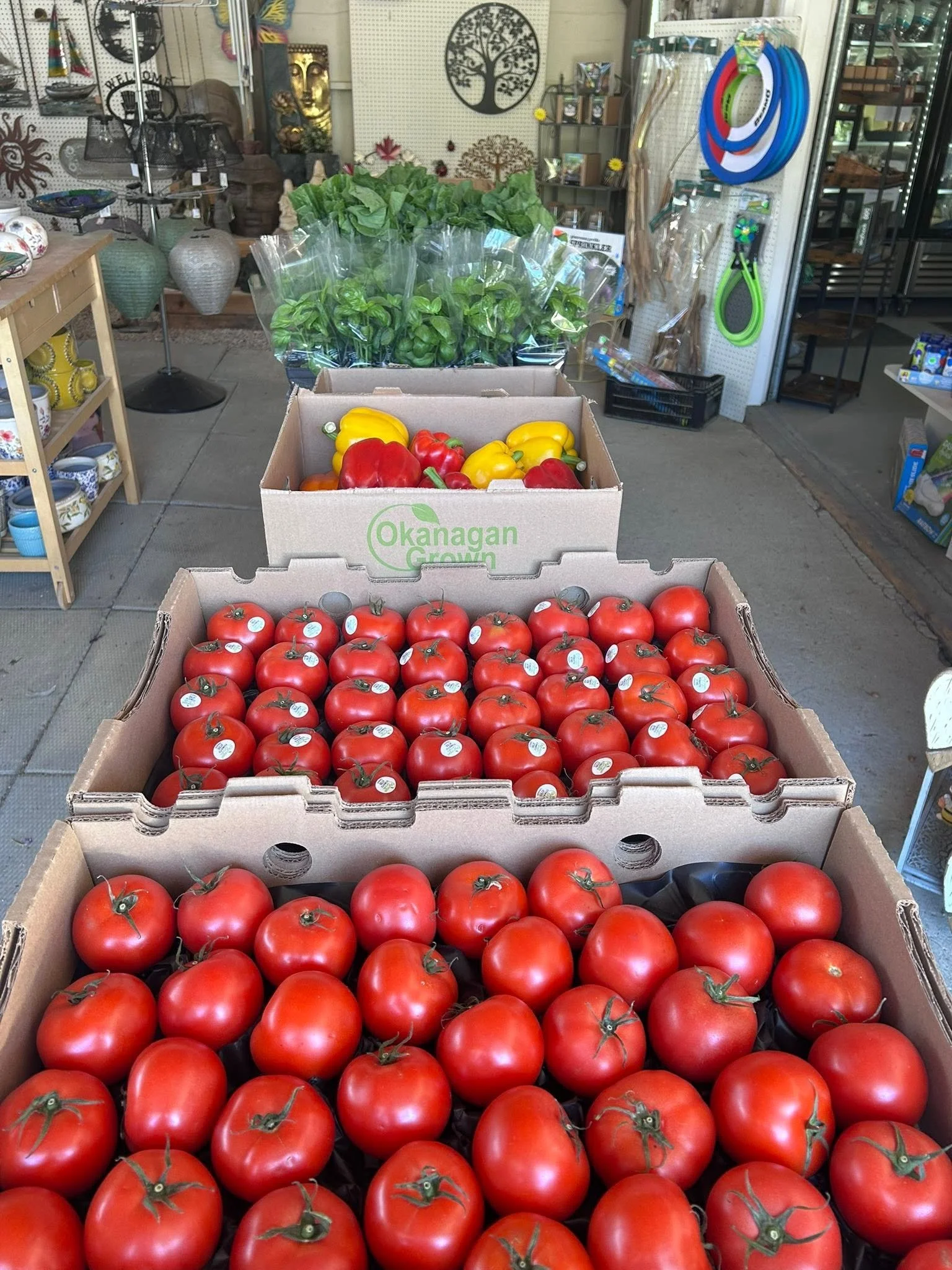 Fresh tomatoes and peppers in cardboard boxes at a produce stand inside a shop.