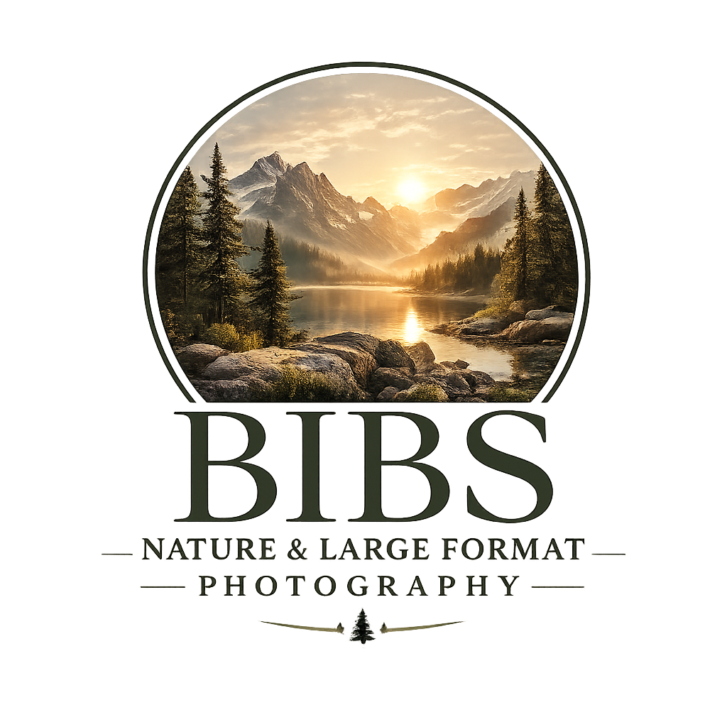 Bibs nature &amp; Large format Photography