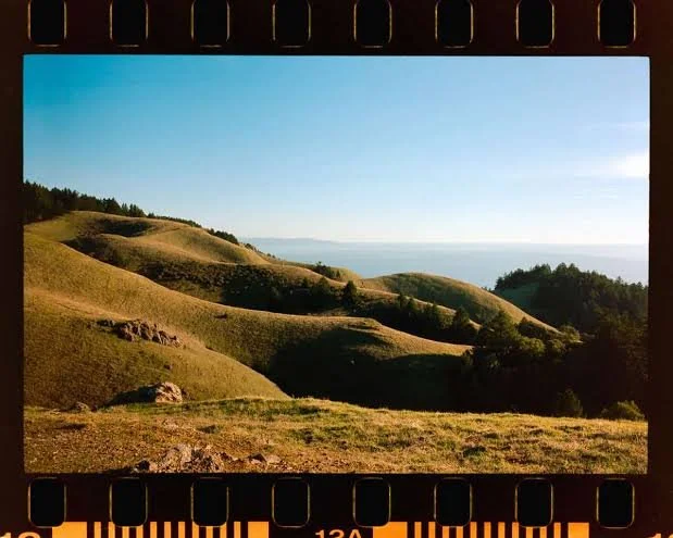 Rolling green hills under a clear blue sky with some trees and distant water or clouds on the horizon.