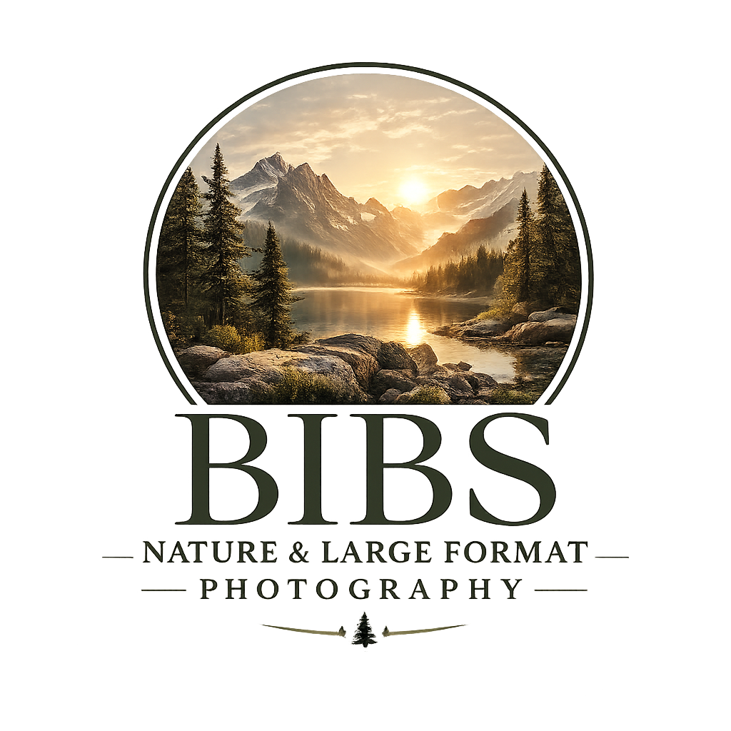 Bibs nature &amp; Large format Photography