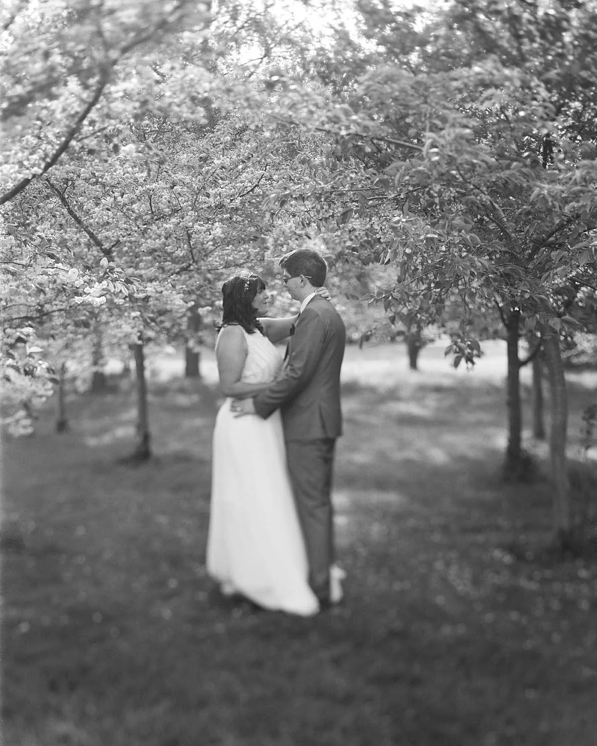 Black and white photo of a bride and groom standing close under flowering trees, gazing into each other's eyes outdoors.