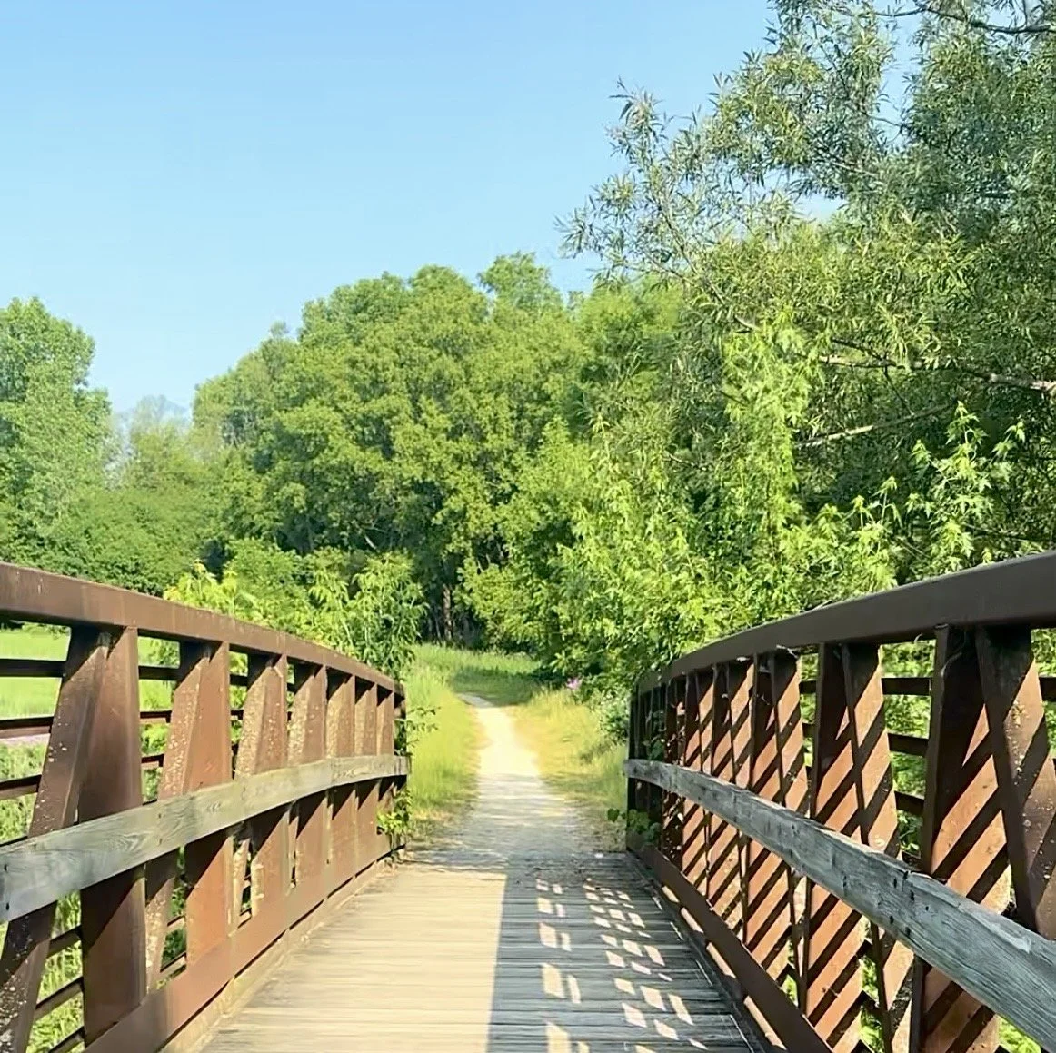 Wooden bridge leading to trail through woods