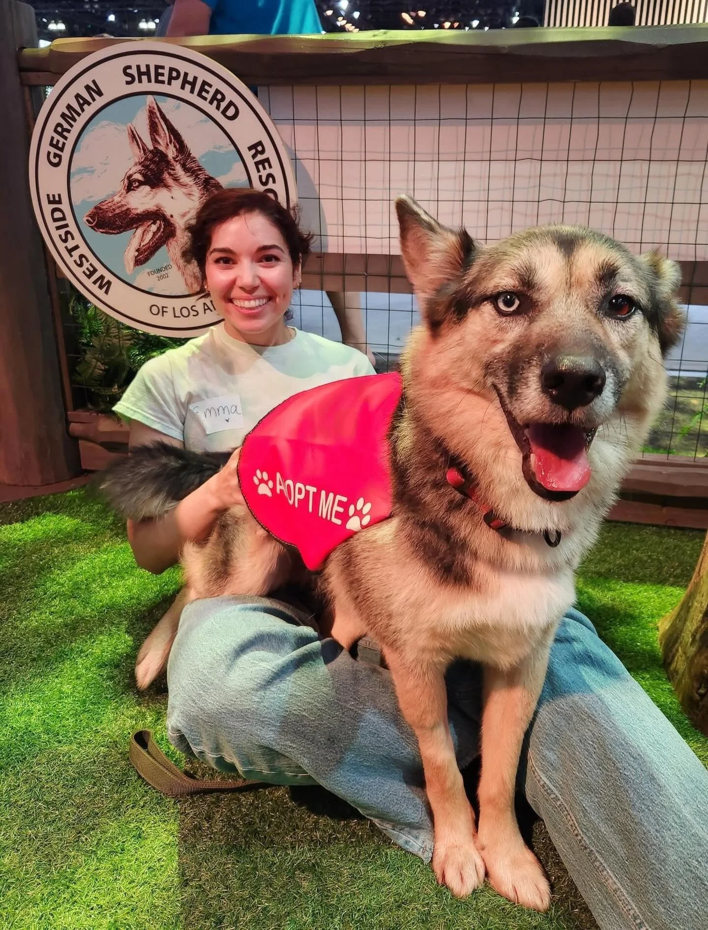 Had a great time with my buddies Whiskey (the one using me as a chair) and Sawyer (the one I interview) at the @laautoshow this Sunday as we chilled at the @subaru_usa Pet Park looking to get them new homes! 🐾 If interested in these furry sweet fell