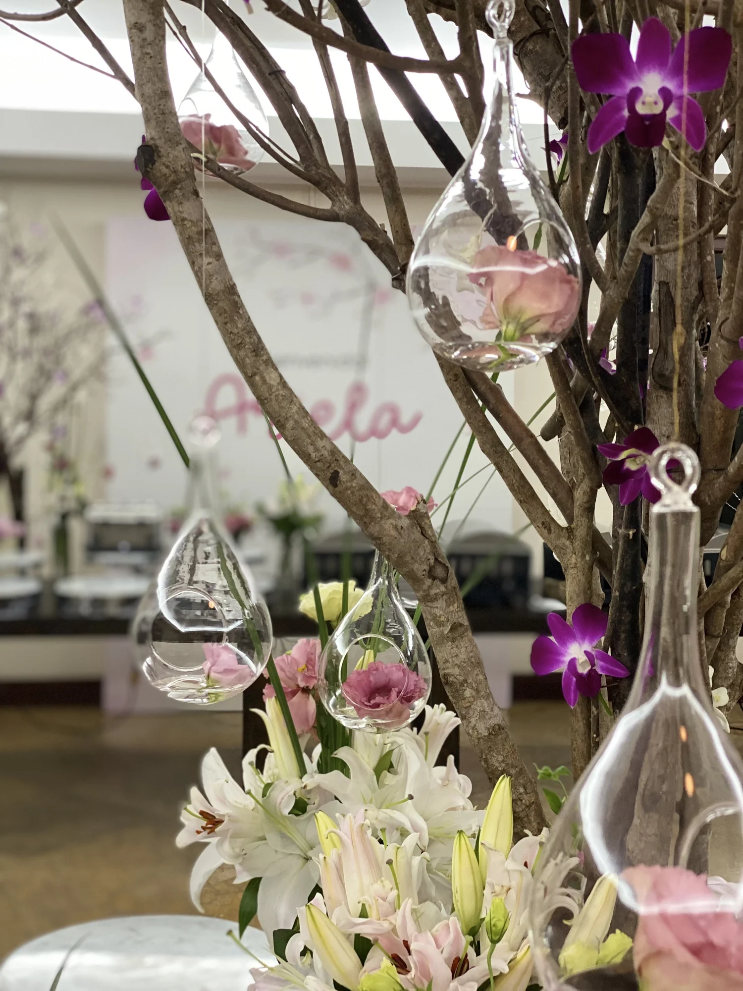 Terrarios de vidrio con orquídeas colgando de ramas de cerezo