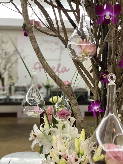 Terrarios de vidrio con orquídeas colgando de ramas de cerezo