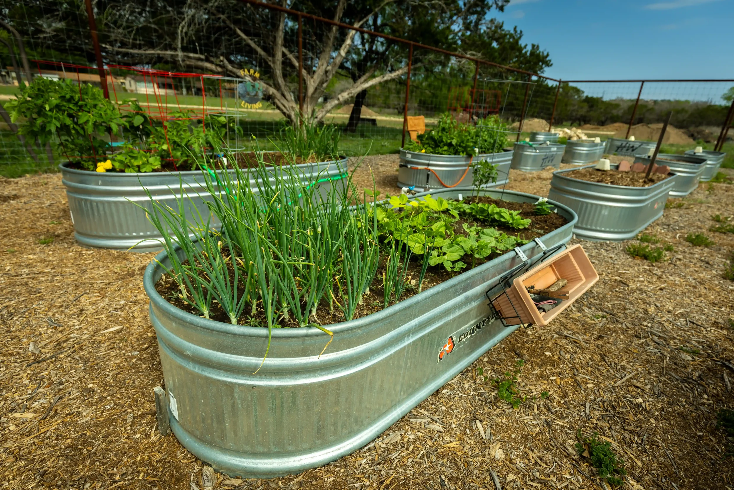 Garden_F7A8827 John David Grisebaum, Jr.webp