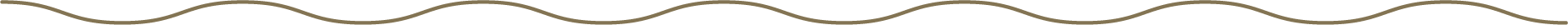 Brand asset wavy line element