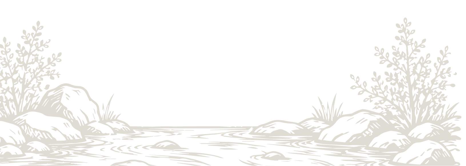 Line drawing of a river flowing between rocks and bushes on either side.