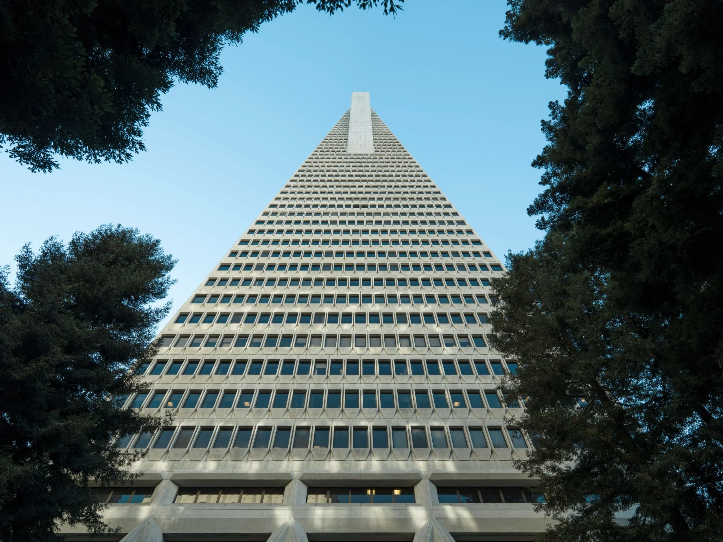 SF_0005.jpg