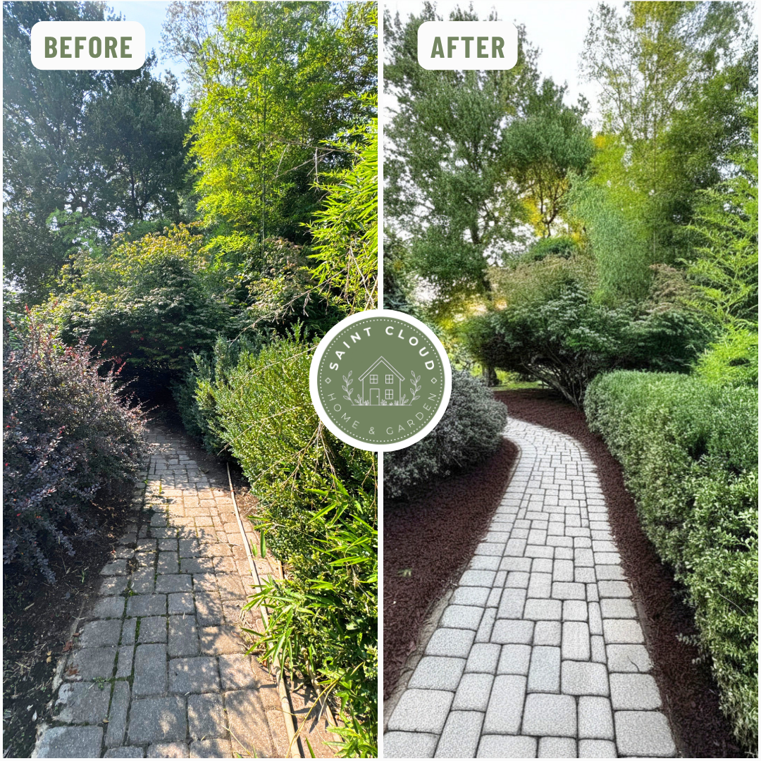 Before and after of a garden pathway cleaned up and refreshed with neatly defined edges and surrounding plants.