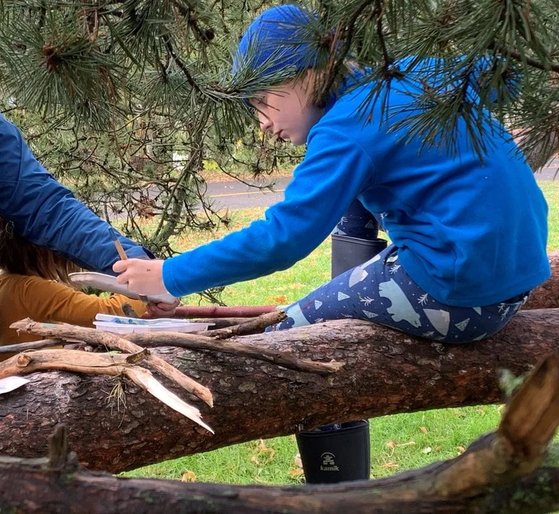 Child sitting on a tree branch, reaching to hand something to another child, surrounded by pine tree branches, with paper and sticks on the branch.