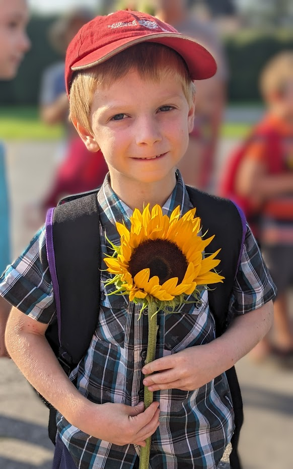 A young boy in a plaid shirt and red baseball cap holding a sunflower in front of him, smiling outdoors with a blurred background of other children.