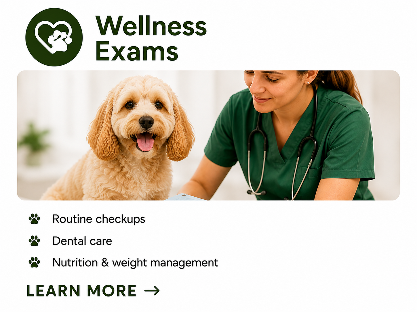 A veterinarian in green scrubs with a stethoscope examines a happy, light-colored dog with floppy ears in a veterinary clinic.