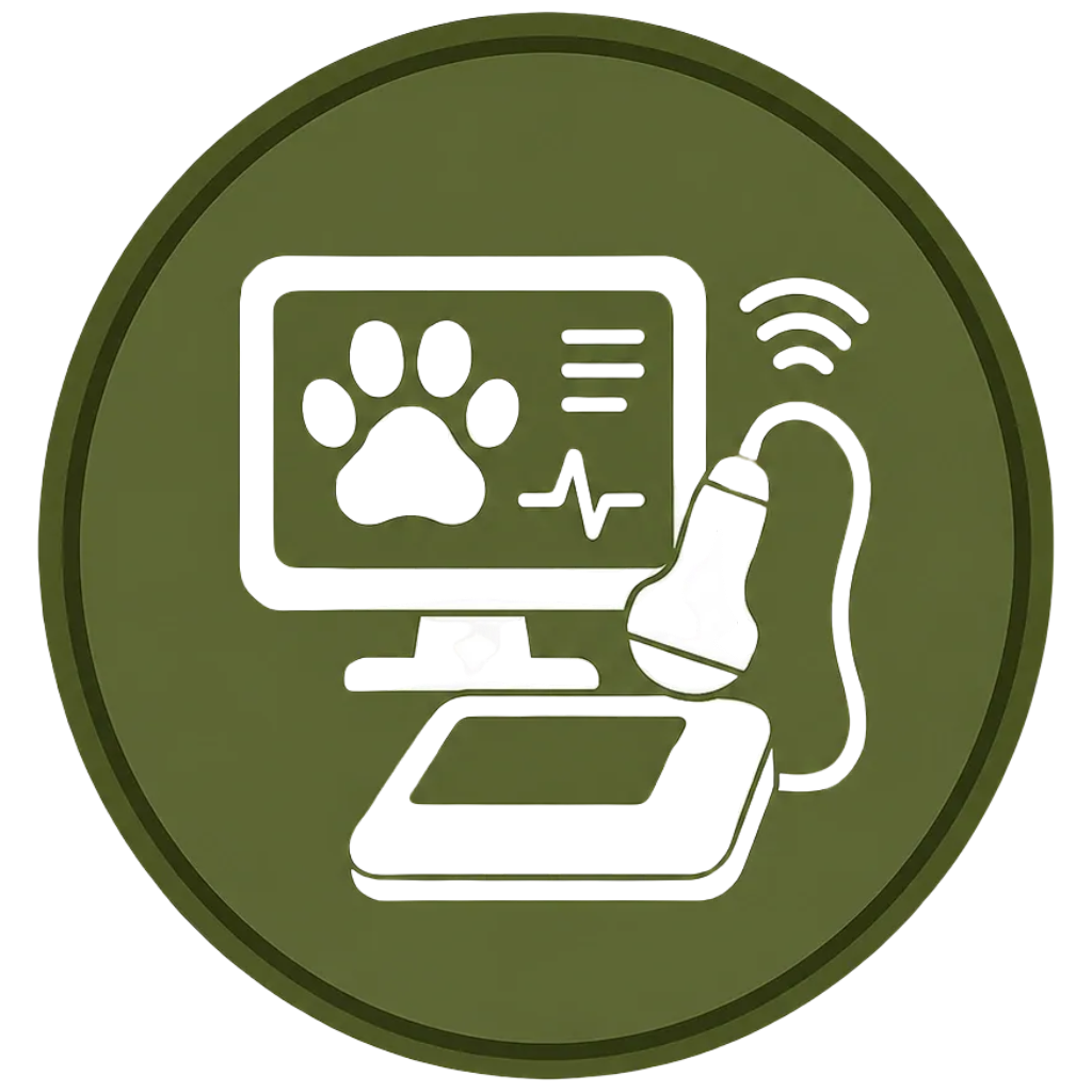 Illustration of a computer, a dog paw print, and a stethoscope inside a circular green background.