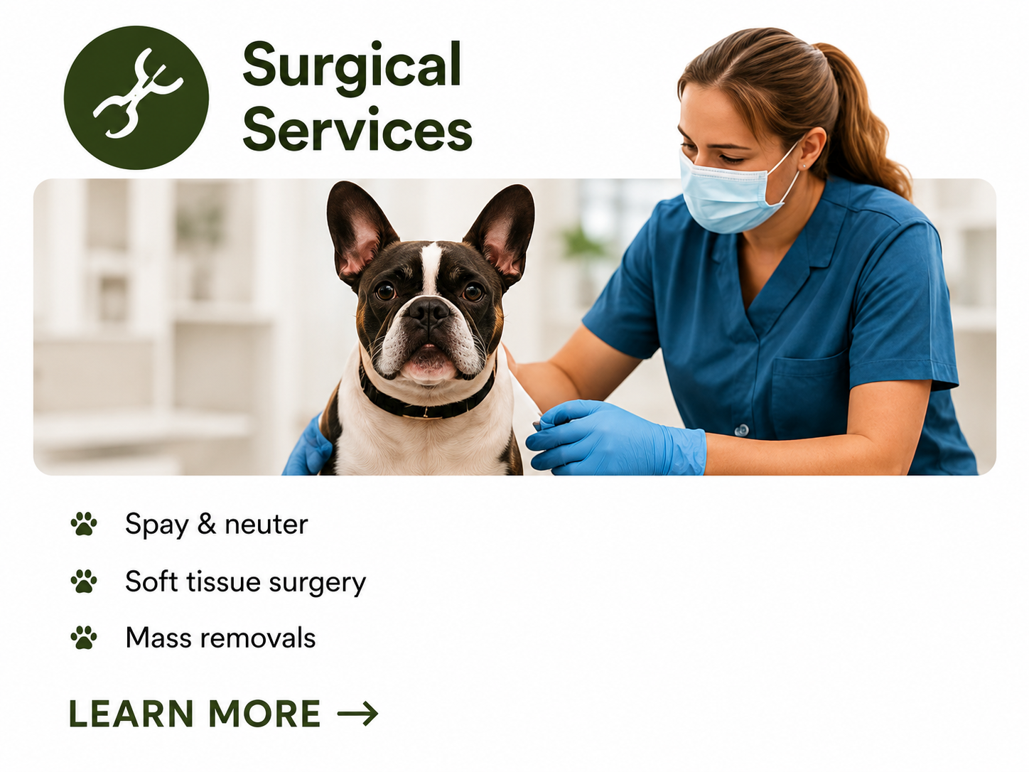 Veterinary professional in scrubs and mask examining a French bulldog at a veterinary clinic.