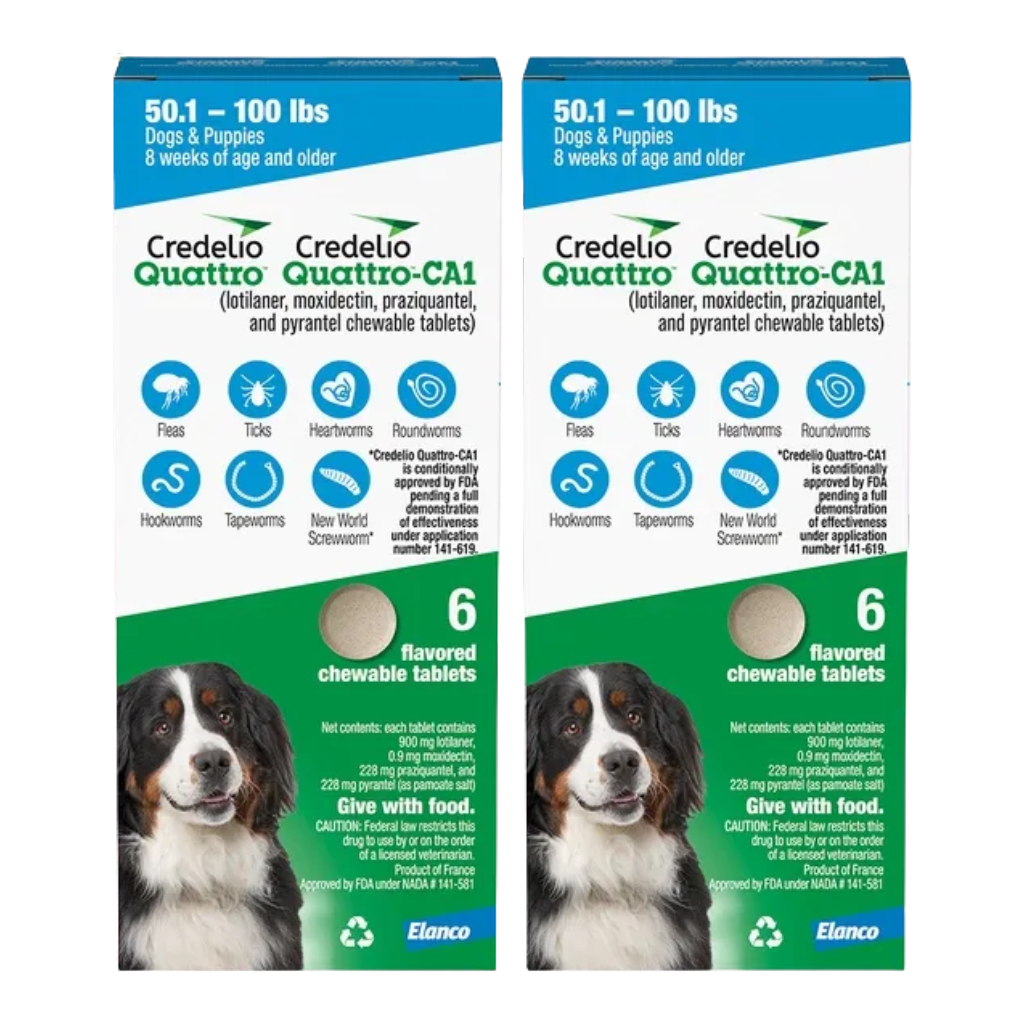 Packaging of Credelio Quattro-CA1 chewable tablets for dogs, showing text about dosage and ingredients, along with a picture of a black and white dog, a blue and green design, and icons indicating parasites it targets.