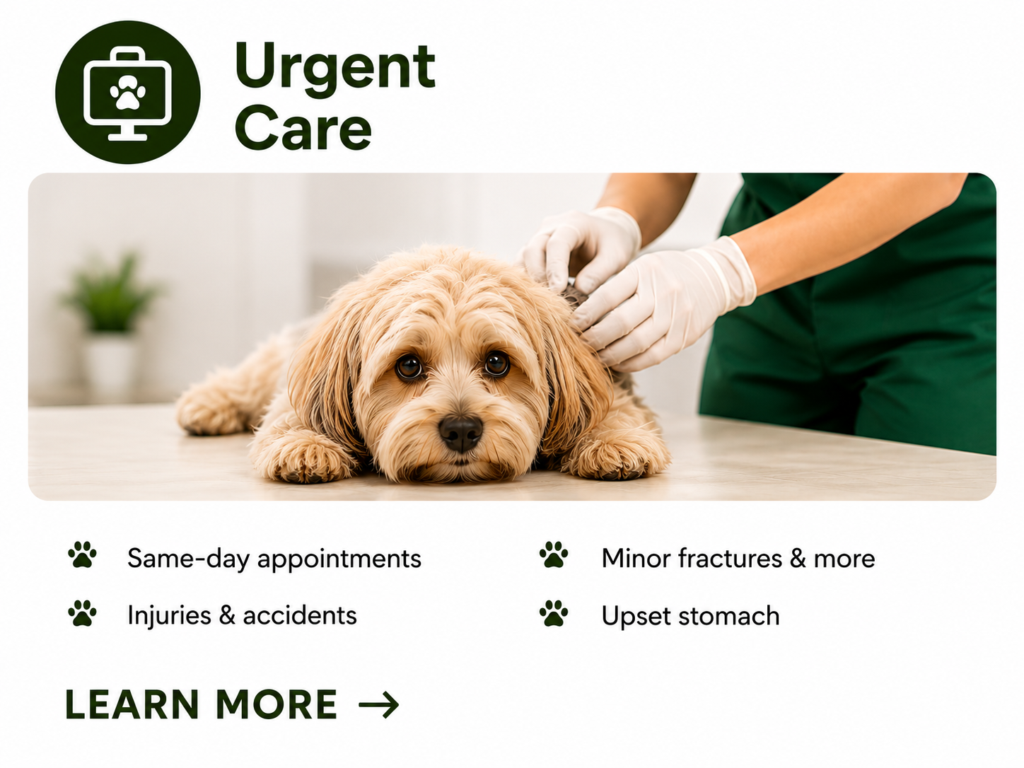 A veterinarian in green scrubs and gloves examining a cute, light brown, long-haired dog lying on an examination table at an urgent care veterinary clinic.