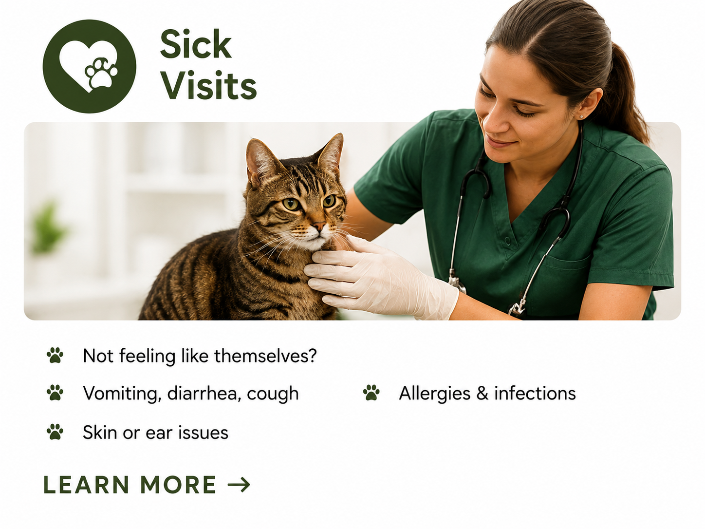 A veterinarian in green scrubs and gloves examining a tabby cat for signs of illness, with a green circle icon containing a paw and a heart near the top left corner, and text about symptoms of sick visits for pets.