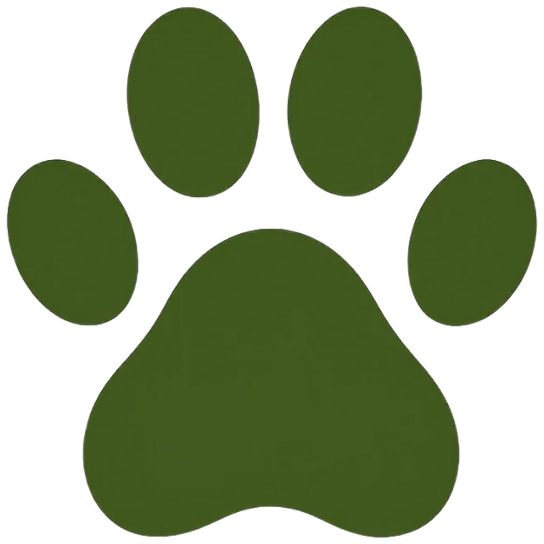 A stylized illustration of a dog paw print with four oval toe pads and one larger oval pad beneath them, all in dark green.