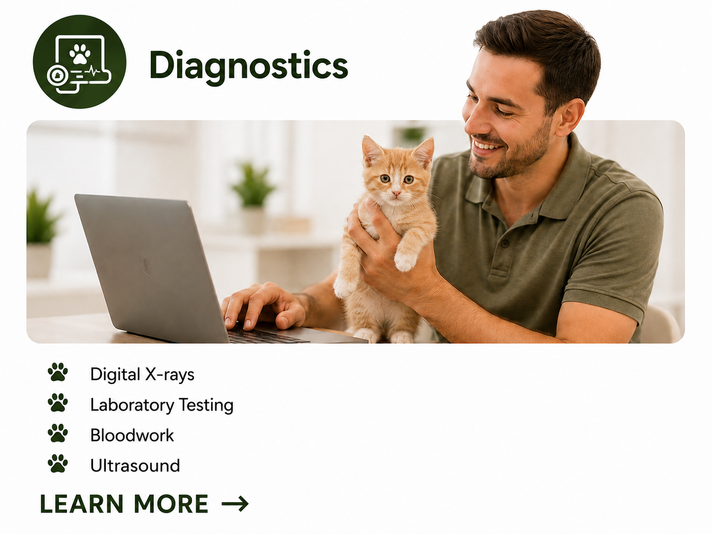 A man smiling and holding a ginger kitten in front of a laptop computer in a bright room with plants in the background.