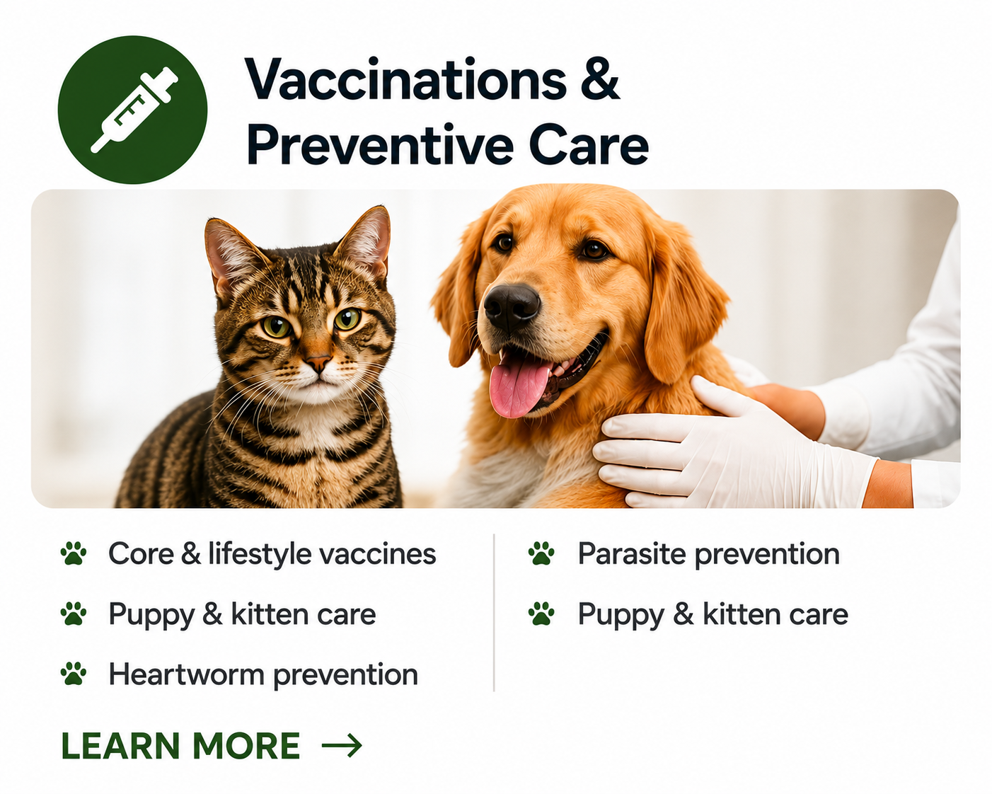 Poster about vaccinations and preventive care for pets, featuring a cat and a dog with a veterinarian in the background.