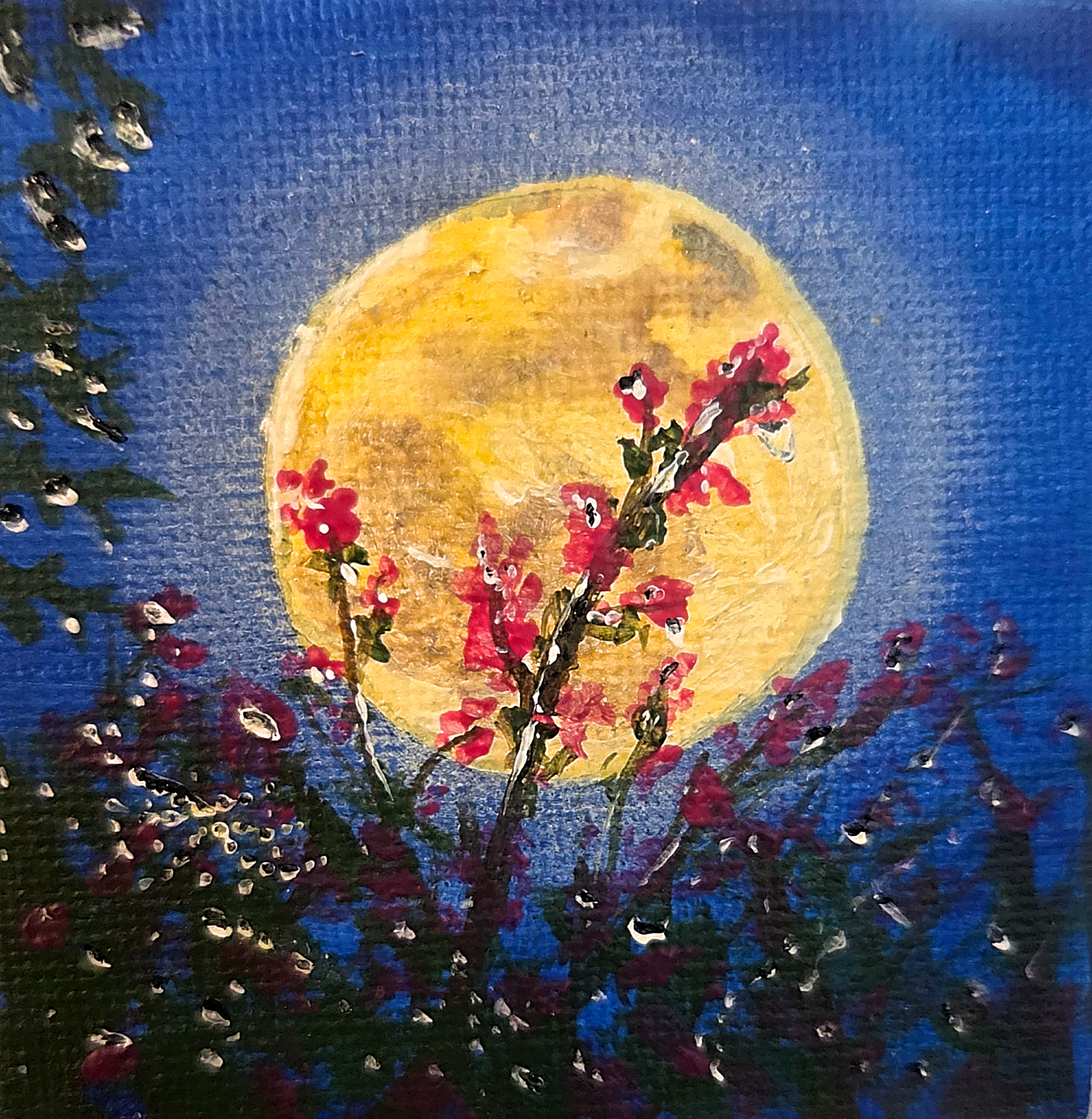 Moon Dew Print