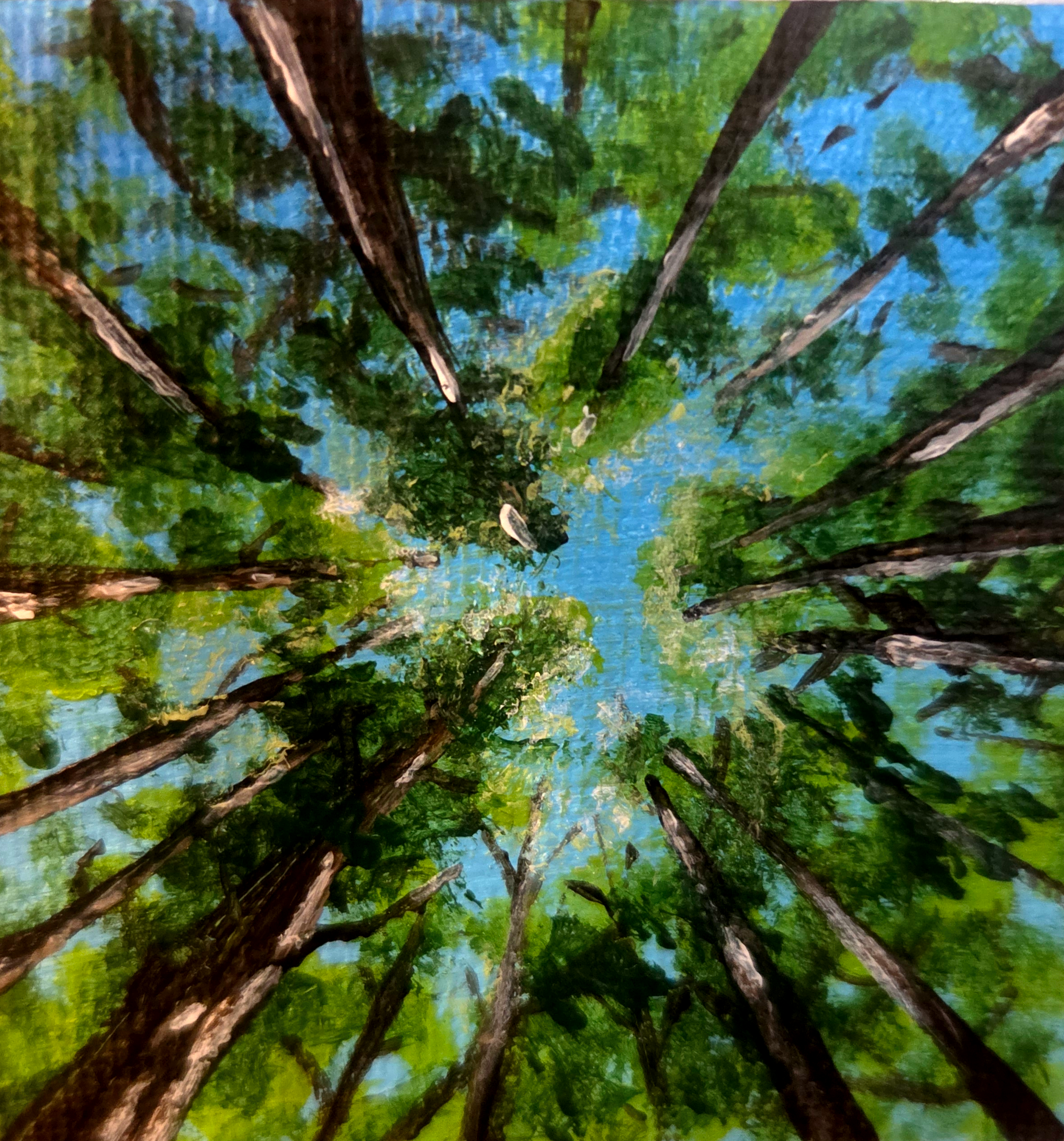 Looking Up Print