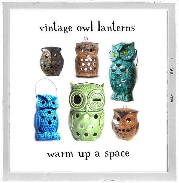 Display of six vintage owl-shaped lanterns in different colors and styles with text 'vintage owl lanterns warm up a space'.