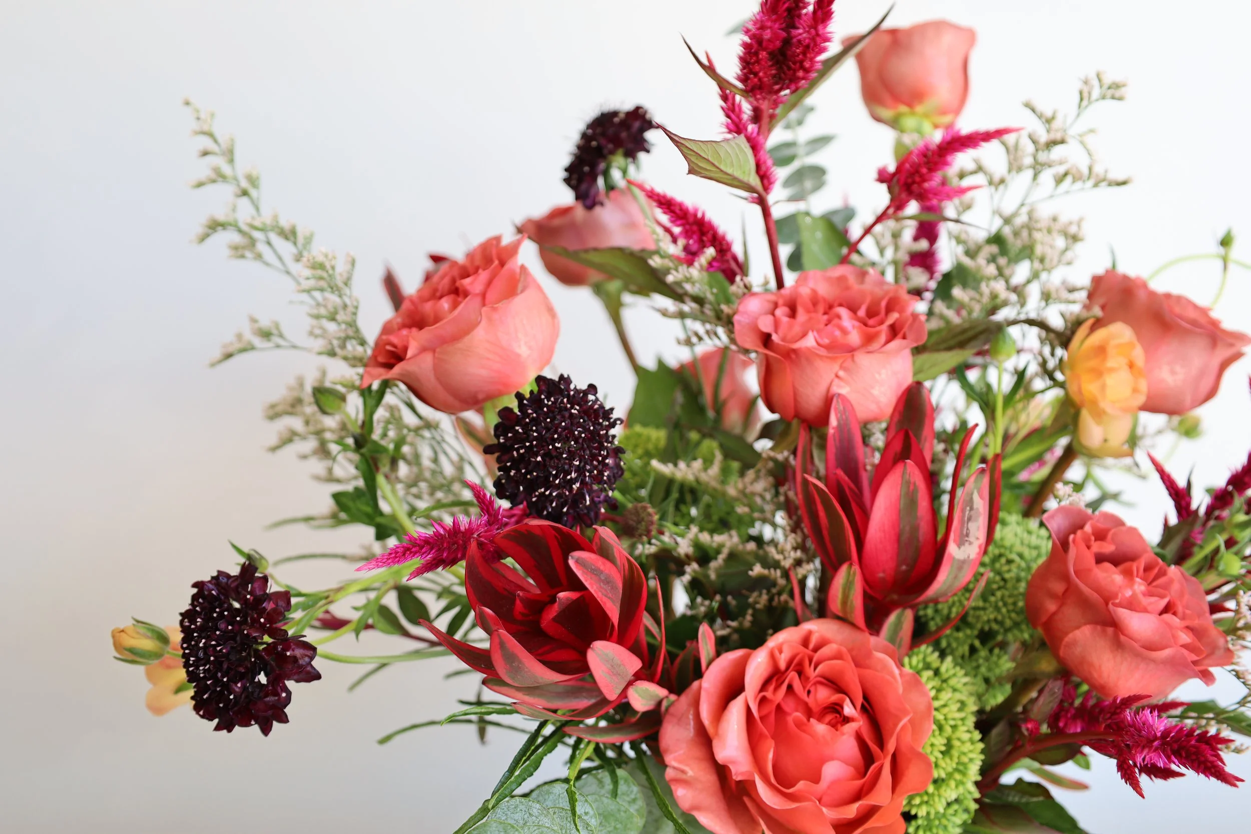 A colorful flower bouquet including pink roses, dark purple flowers, and bright red and pink accents on a white background.