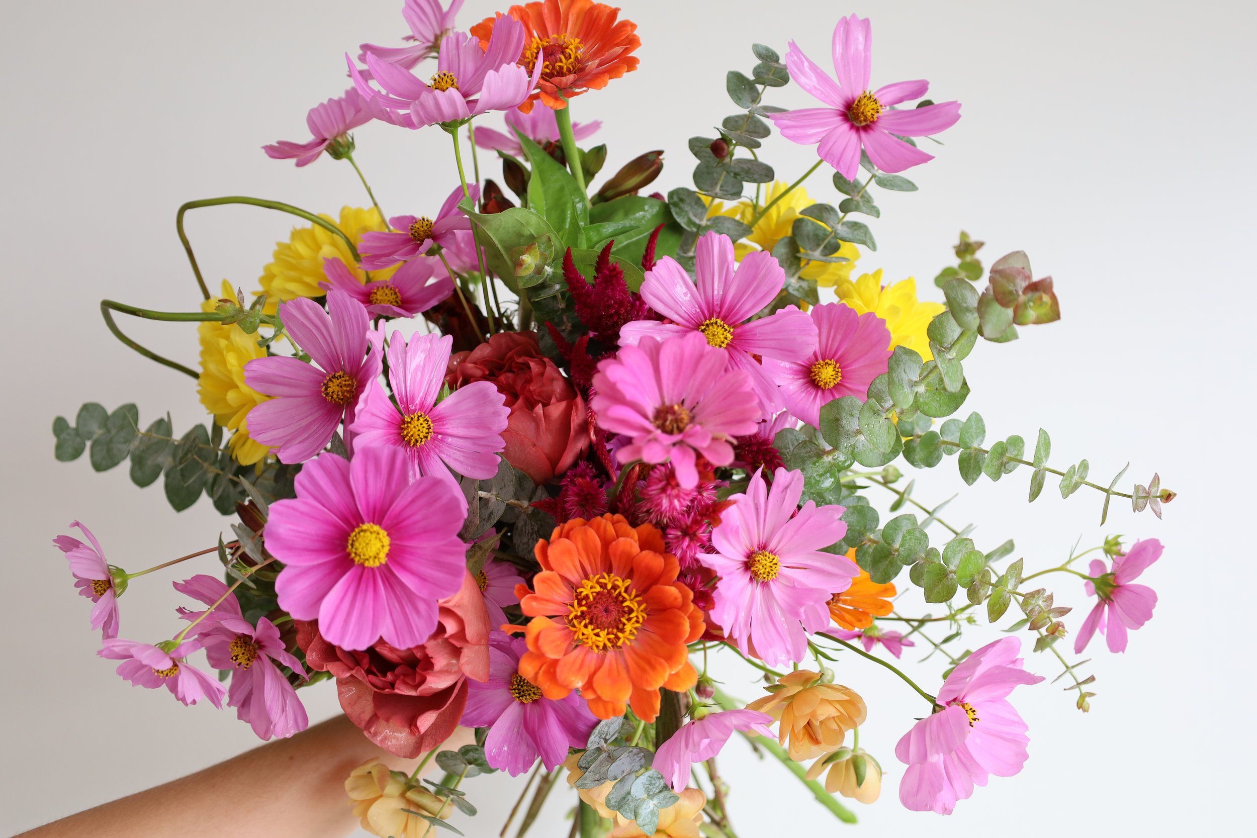 A hand holding a colorful bouquet of pink, orange, red, yellow, and green flowers with a plain background.