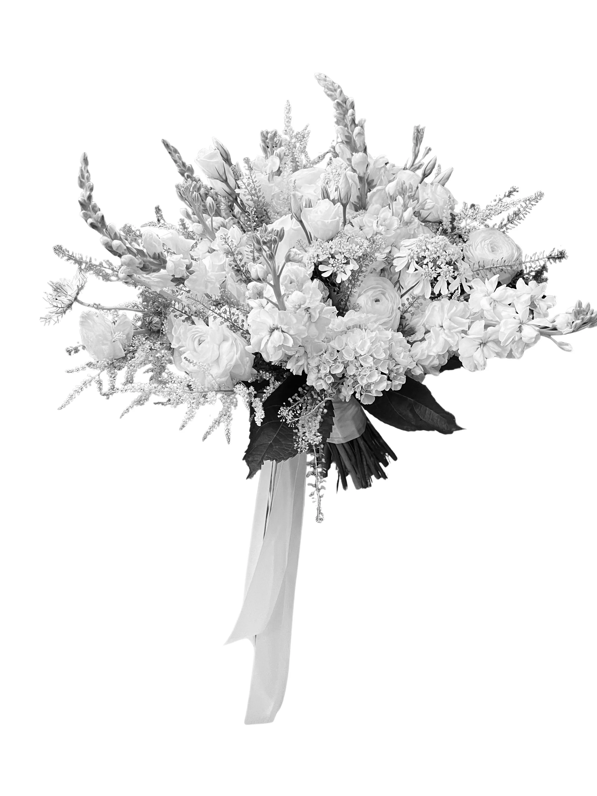 A bridal bouquet of white flowers wrapped with ribbon.