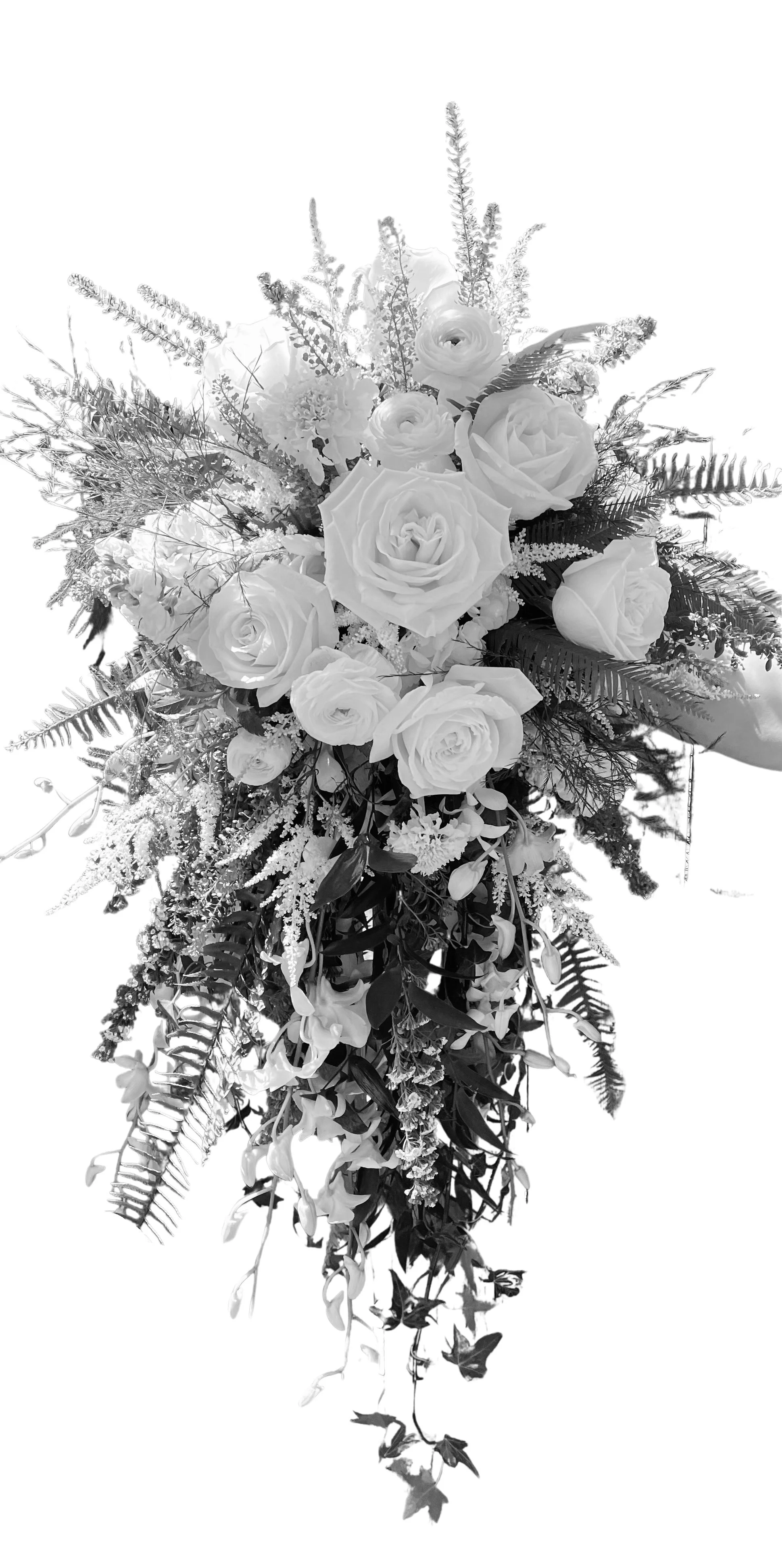 A black and white photograph of a cascading bouquet with roses, ranunculus, and various greenery and ferns.