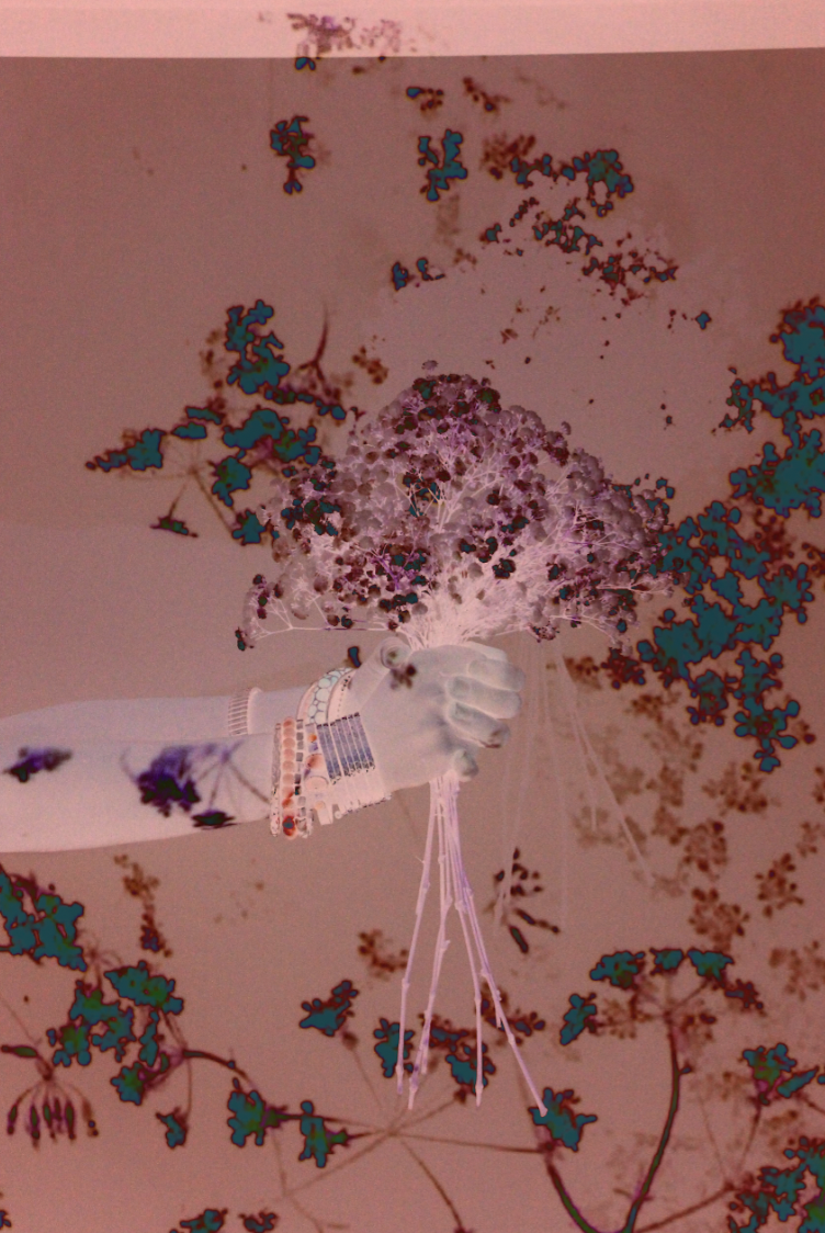 Inverted-color microscopic image of a gloved hand holding a dandelion seed head against a floral background