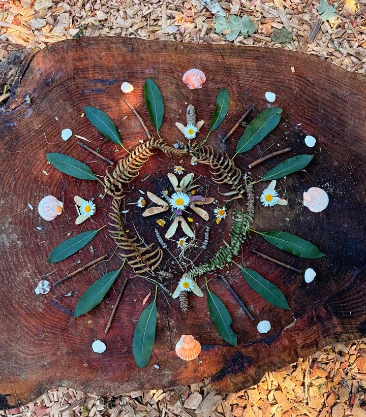 A heart shape created with natural objects on a tree stump. Surrounding the heart are small shells, daisy flowers, leaves, and twigs arranged in a circular pattern.